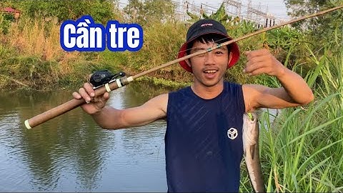 Câu cá lóc | siêu phẩm shimatre báo cá | rong chơi miền tây #fishing #lurecaloc #sonrau