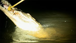 American Crocodile - Deadliest Predator Yet? | Deadly 60 | Earth Unplugged