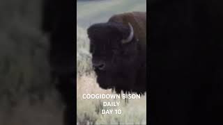 THOUGHT WE FORGOT DAY 10