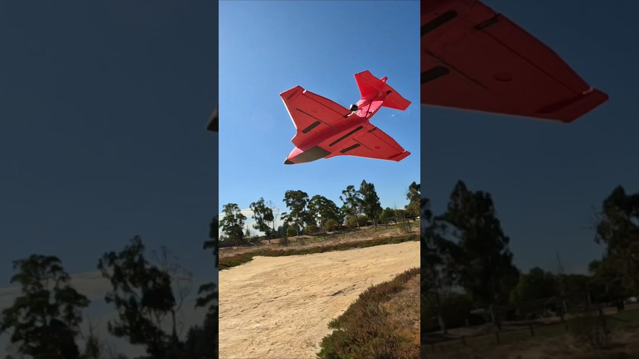 It's Only a Baby! (Baby Paptor) 🔥 