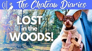 Getting Lost in Our Woods! 🌲