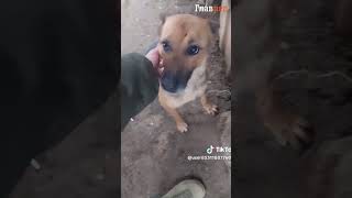 Побратимы: вместе до победы