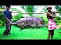 40kg GIANT TREVALLY FISH PEPPER FRY RECIPE | Delicious Big Fish Cooking and Cutting |Village Grandpa