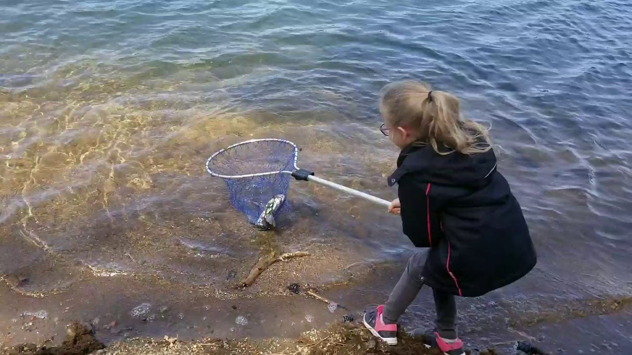 Rainbow trout caught at south twin lake in central Oregon, 22 inches