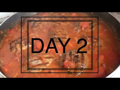 DAY 2 -