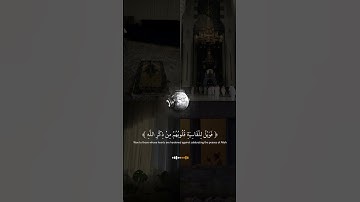 سورة الزمر..."🎧 #foryou #allah #قران #القرآن #الله #المنشاوي #قران_كريم #quran #fypシ #fyp #foryou