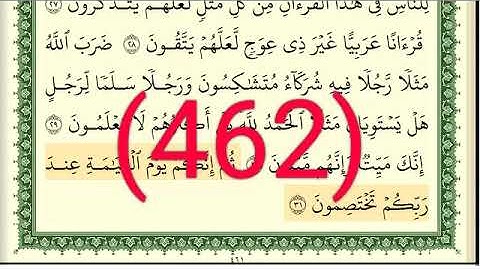 سورة   الزمر رقم الصفحة 462 مجود بصوت القارئ الشيخ أيمن سويد حفظه الله