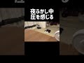 ハヤク・ネロ・トライアングル #cat #猫のいる暮らし #保護猫