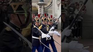 French and British Troops 🇫🇷🇬🇧👏 #changingoftheguard #fyp