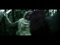 Odin's Wolves book trailer