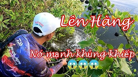 Săn Bắt Và Ẩm Thực | Câu Cá Chẽm Thiên Nhiên Khởi Động Mùa Mới Đầy Triển Vọng / lure fishing /