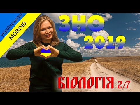 ЗНО біологія 2019. 2/7 (хімічний склад клітини)