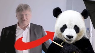 YouTube Kacke: AFD gegen Pandas