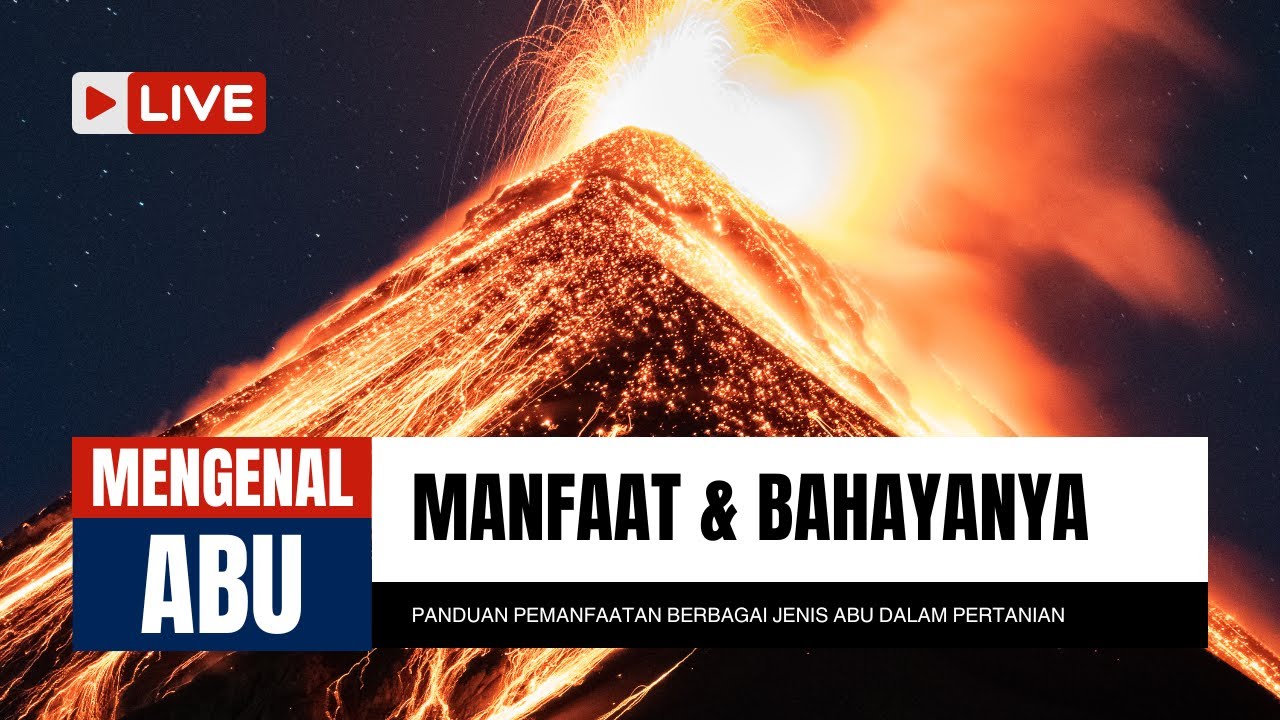 Apa Itu Abu dalam Pertanian? Jenis, Manfaat, dan Bahaya yang Harus Dihindari!