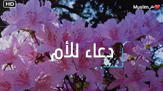 أجمل دعاء للأم 💙⚘تريح القلب || أجمل حالات واتس اب أدعية دينية 🤲❤