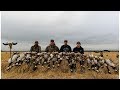 Four limit's of Ducks and Geese - "Frantic"  - Interlake Outdoors -