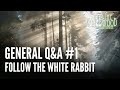 General qa 1  follow the white rabbit