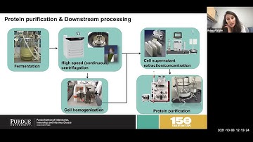Protein Engineering and Production