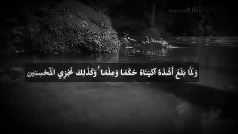تلاوة تذهب بك الي عالم اخر للقارئ الصيدلي احمد خضر ابن صيدلة المنوفية وشبيه اسلام صبحي