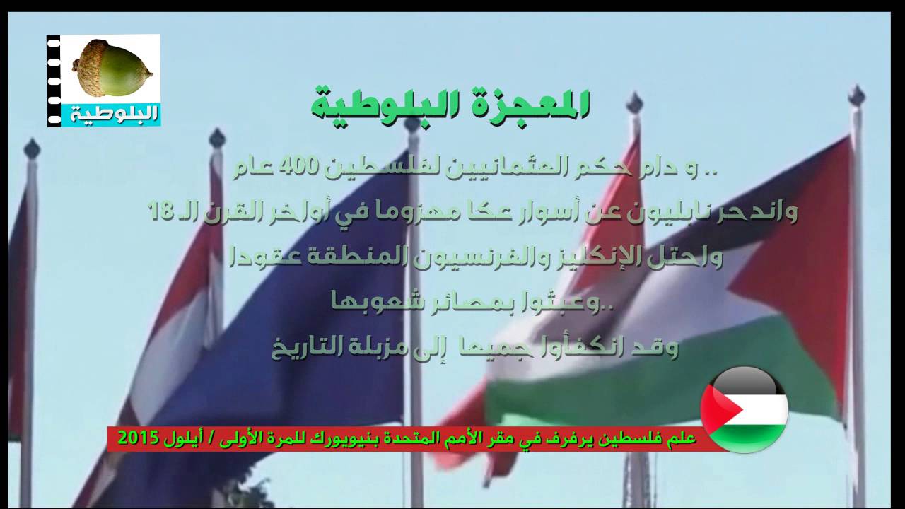 دير بلوط    خاصرة فلسطين