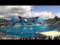 One Ocean (Full Show) SeaWorld San Diego