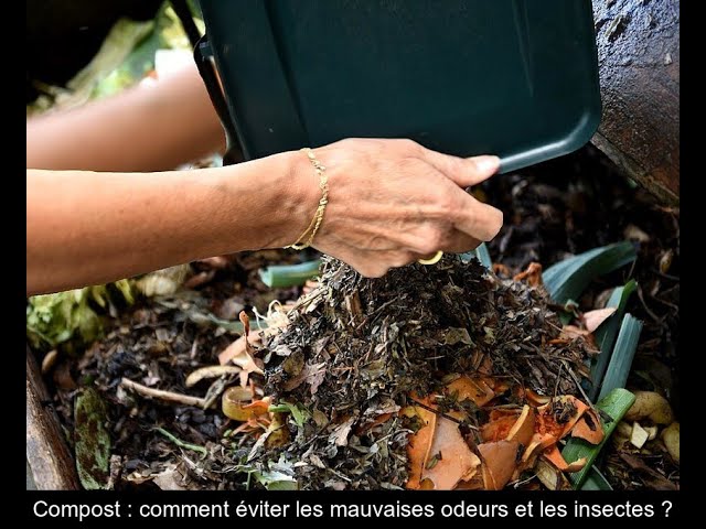 Mauvaises odeurs, insectes Comment faire un compost sans nuisances?