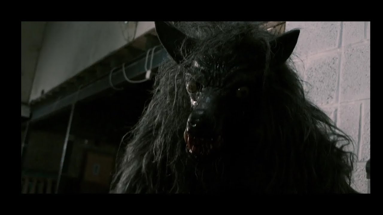 camera iphone 8 plus apk The Snarling - Trailer