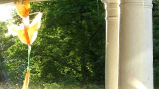 Orionstar: Ambient-090531-1