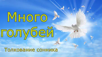 Много голубей - толкование сонника