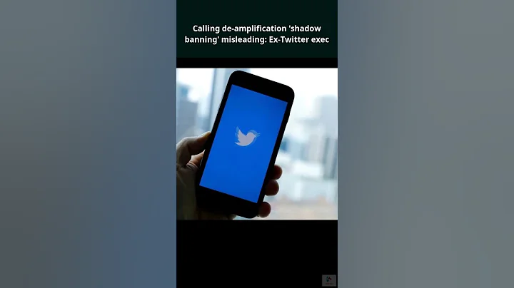Calling de amplification 'shadow banning' misleading: Ex Twitter exec