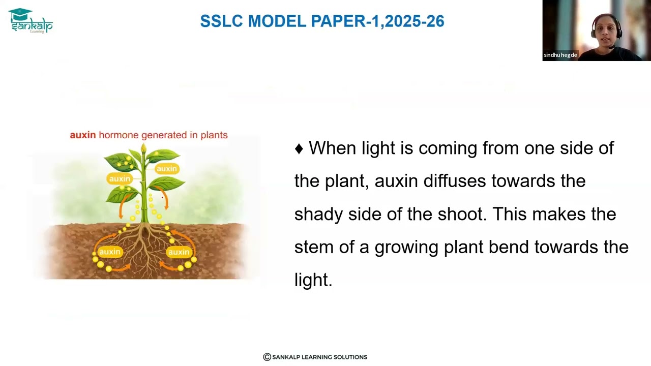 Model Question paper 1 - Science  - EM - Qno 33A