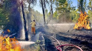 Orman Yangını Anında Her Yeri Sardı