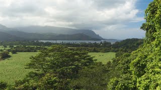 Best local beef in Hawai'i - Kunoa Cattle