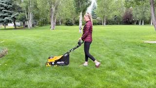 Dewalt Battery Compatible Dethatcher & Scarifier: Full Review