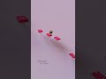 SUGAR PLUM FAIRY DANCE Marble Music