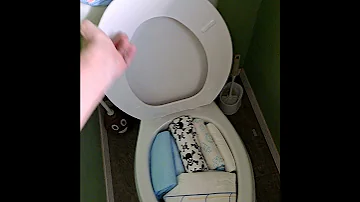 How I Use The Potty Toilet Full Of Adult Diapers Shorts 