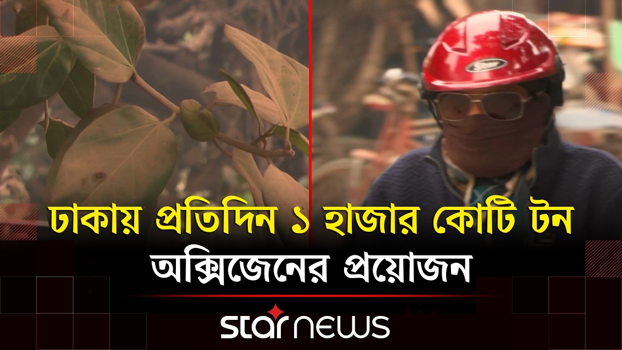 অক্সিজেন সংকটে ঢাকায় বাড়ছে শ্বাসকষ্টজনিত মহামারি | Oxygen Crisis | Air Pollution | Star News