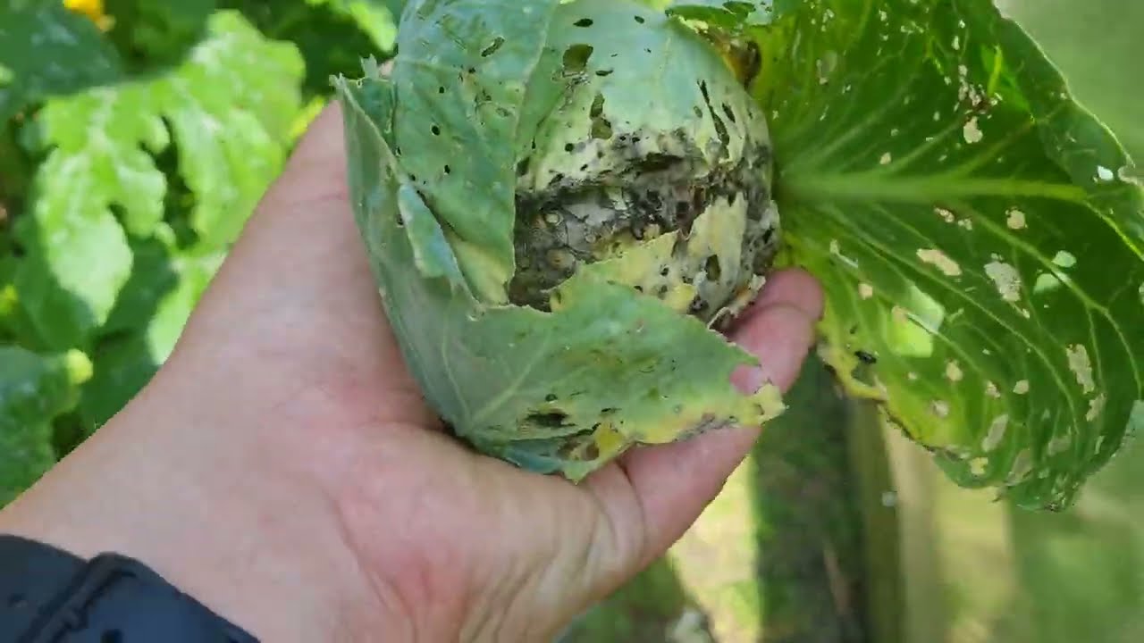 Przegląd po małej przerwie