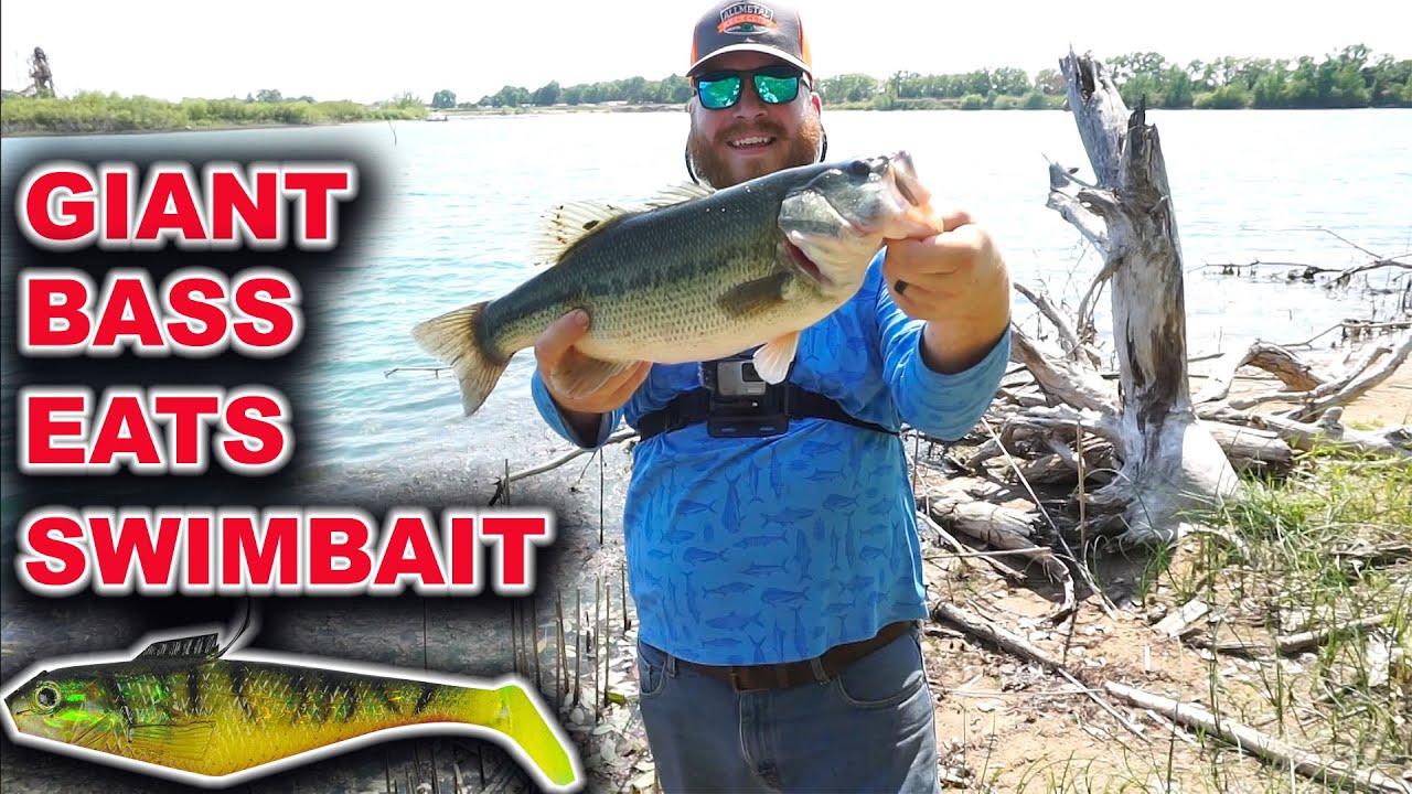 I Caught A Huge Bass On A Berkley Shad Swimbait!!