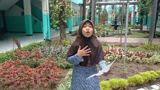 Puisi Taman Bunga