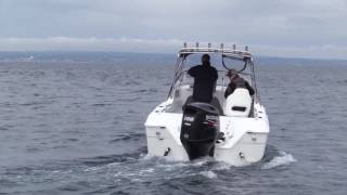 Seafarer Victory 6m with Suzuki 200HP from JV Marine World
