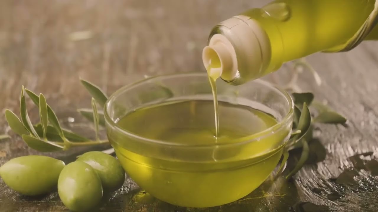 Why the Olive Tree Is the Only Immortal Organism Known to Man