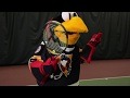 Wilkes-Barre/Scranton Penguins | Tux Tennis