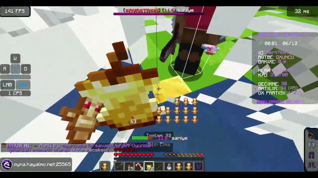 Hayalmc Kill Montage #1