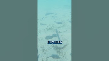 Thumbnail of Чёрное Море Закроют До 2026