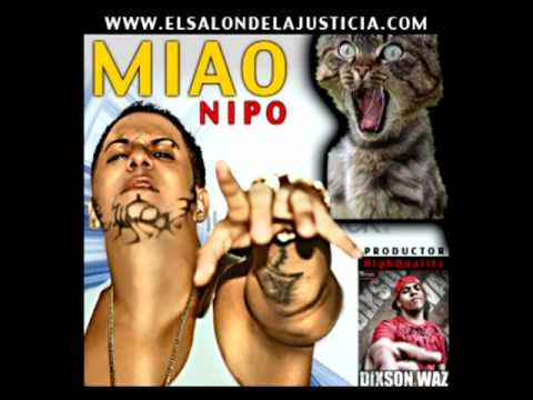 Miao Video