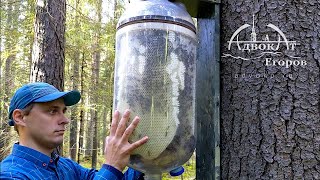 BottletoBottle Honey Production | Contactless Beekeeping