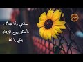 الانشودة الرائعة احلى خبر الانشودة الرائعة احلى خبر