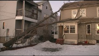 High winds drop trees, cause outages in WMass