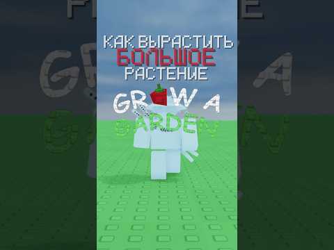 Как вырастить большое